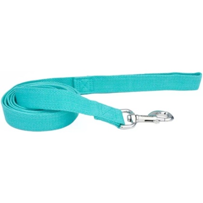 Coastal Pet New Earth Soy Dog Lead Mint Green - 6 feet x 5/8