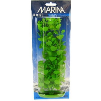 Marina Aquascaper Moneywort Plant - 12