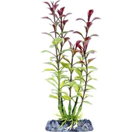 Penn Plax Sinkers Blooming Ludwigia Aquarium Plant Red - 13