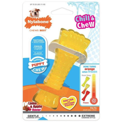 Nylabone Puppy Chew Color Changing Chill N Chew Bone - Mini Souper - 1 count