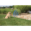 PetSafe Pawz Away Outdoor Pet Barrier